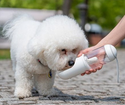 Outdoor travel water bottle for pets out cup - CAPTURE360 5 CAPTURE360
