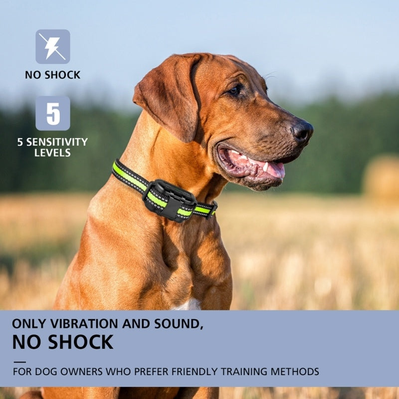 Barking Dog Collar - CAPTURE360 5 CAPTURE360
