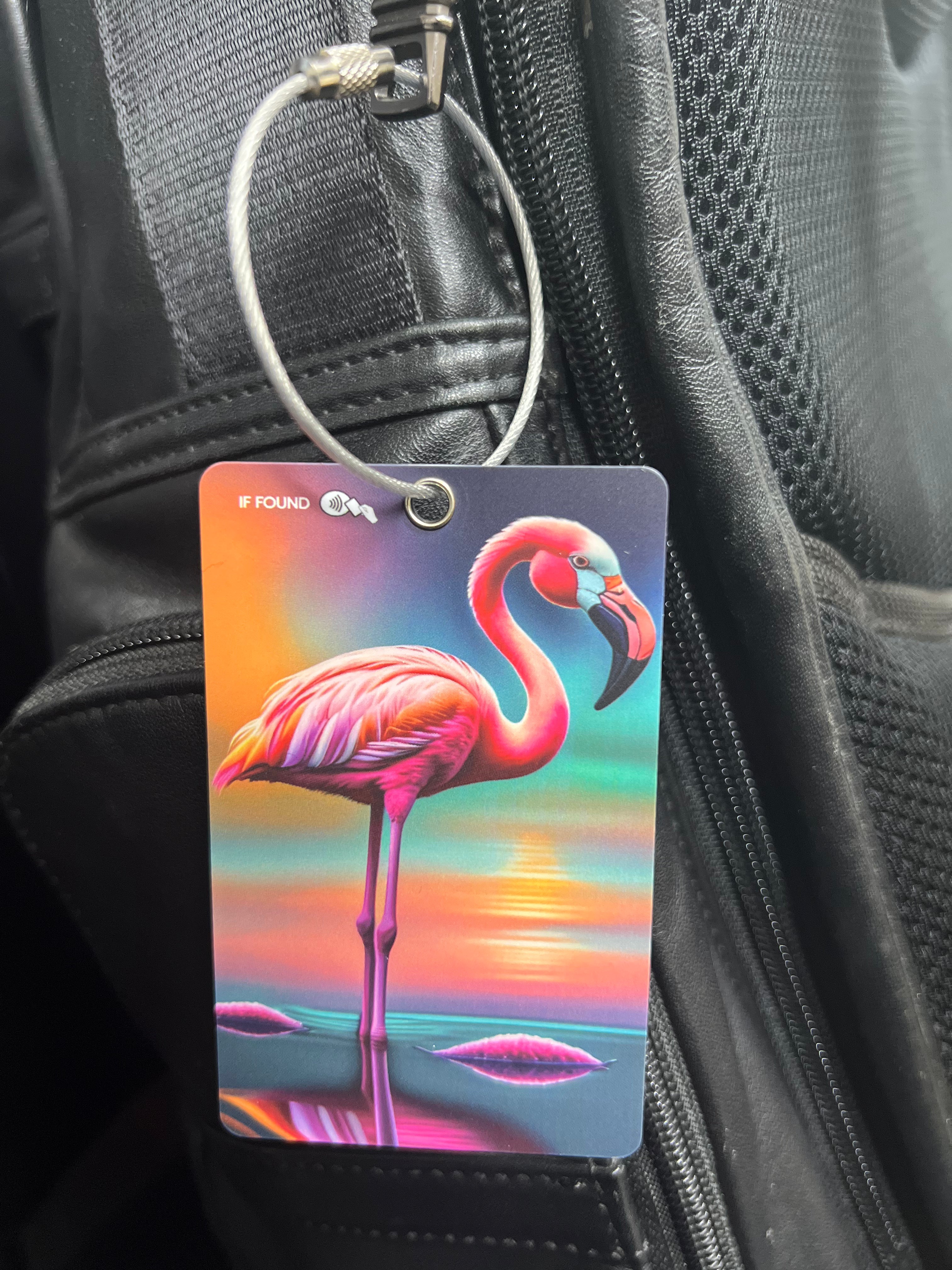 Capture 360 Smart ID Tag with NFC and QR Code for Luggage and Belongings - CAPTURE360 CAPTURE360