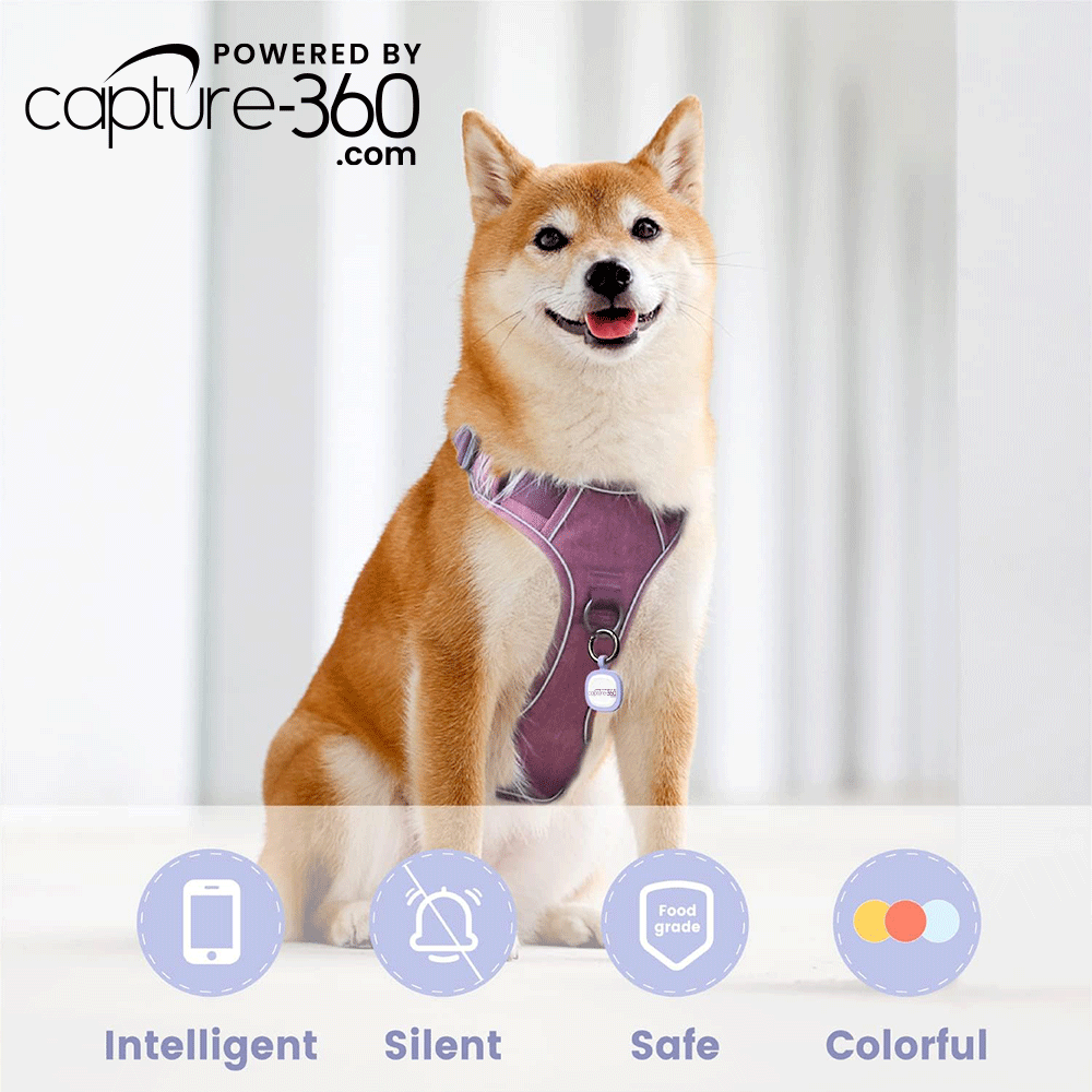 Capture 360 Silent Silicone Smart Pet ID Tag - With NFC & QR Code technology - CAPTURE360 CAPTURE360